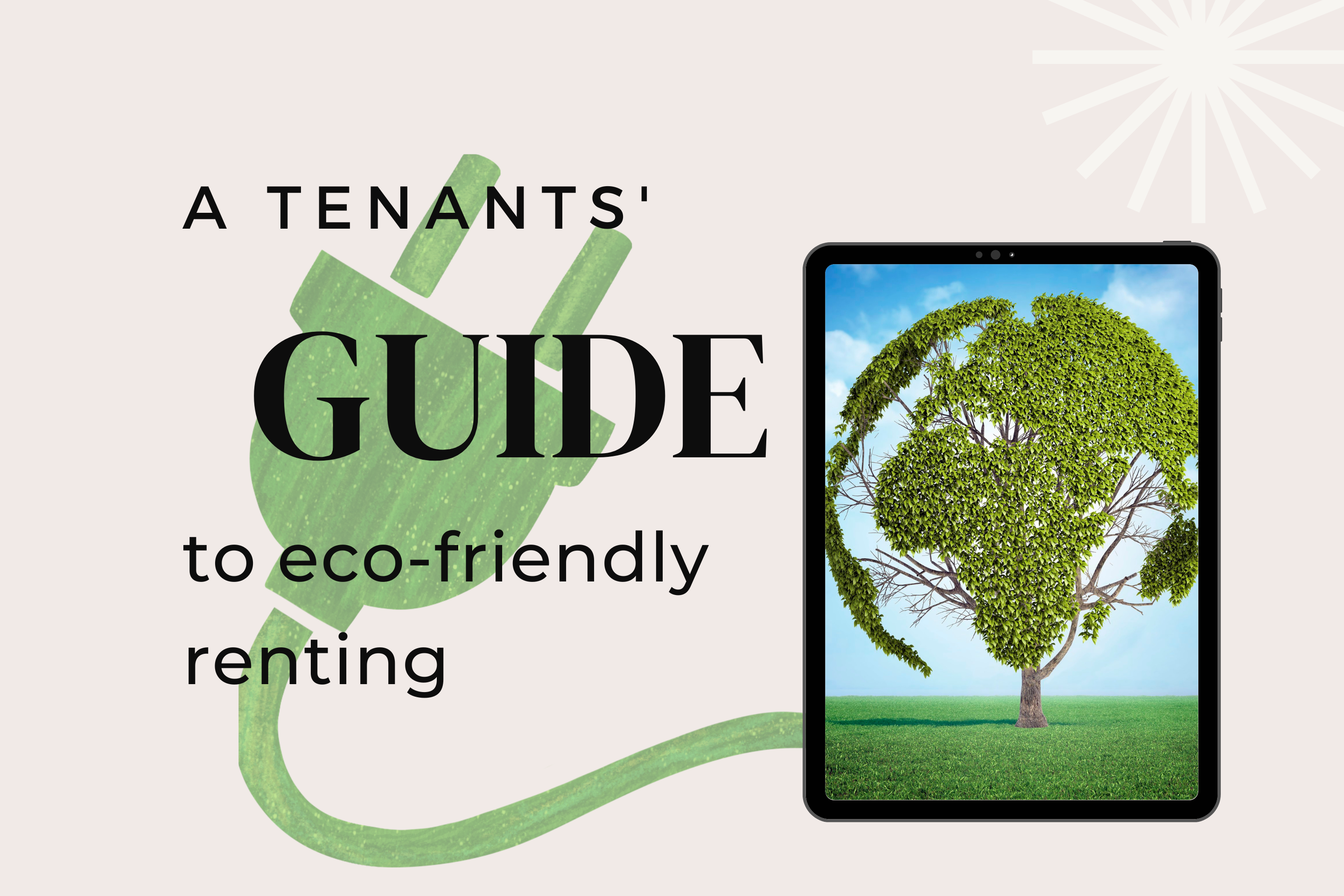 Tenant’s guide to eco-friendly renting