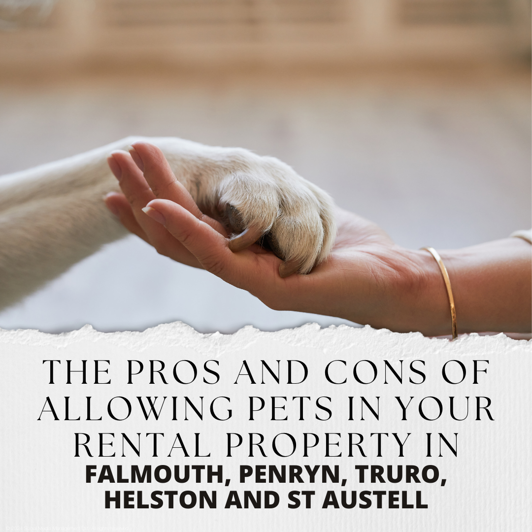 The Pros and Cons of Allowing Pets in Your Rental Property in Falmouth, Penryn, Truro, Helston and St Austell