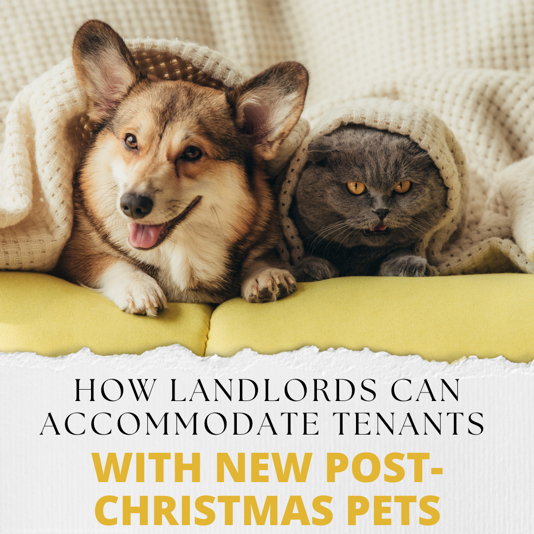 How Falmouth, Penryn, Truro, Helston and St Austell Landlords Can Accommodate Tenants with New Post-Christmas Pets
