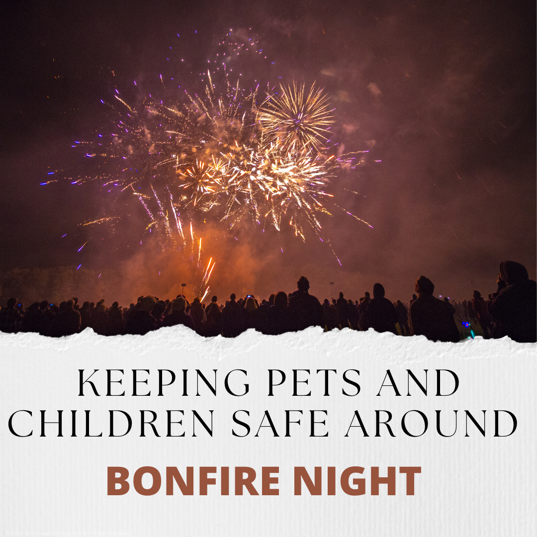 Keeping Pets and Children Safe around Bonfire Night in Falmouth, Penryn, Truro, Helston and St Austell