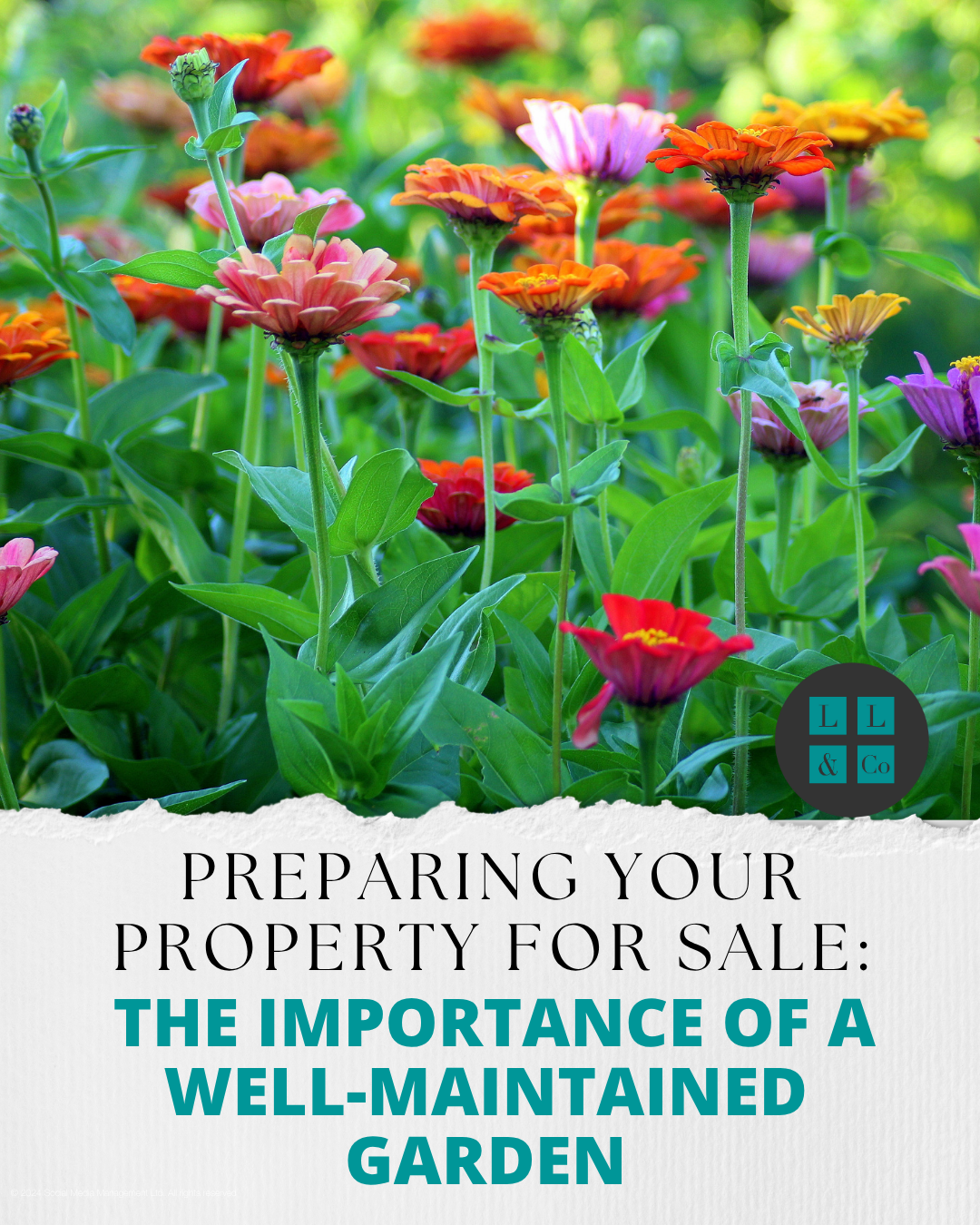 Preparing your property for sale: The importance of a well-maintained garden