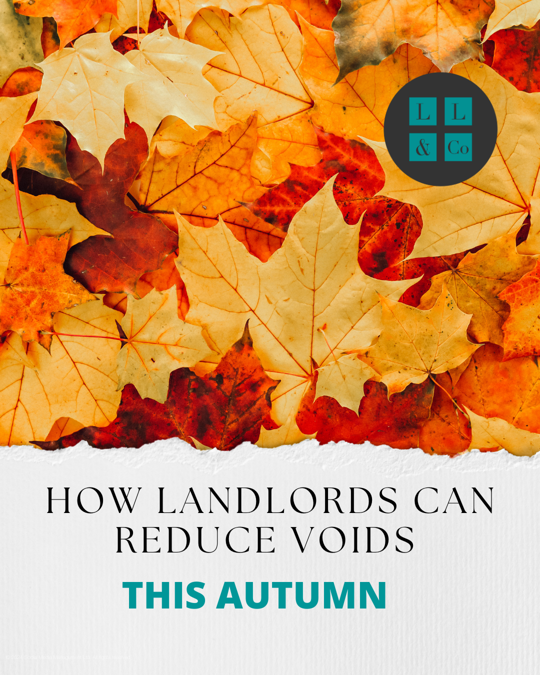 How landlords in Falmouth, Penryn, Truro, Helston and St Austell can reduce voids this autumn